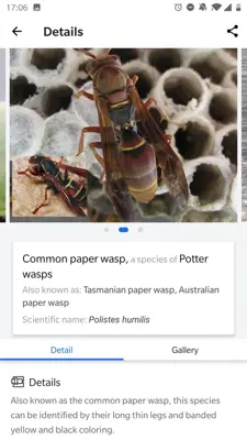 Picture Insect - Insect Id Pro android App screenshot 9