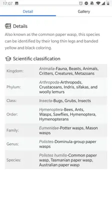 Picture Insect - Insect Id Pro android App screenshot 8